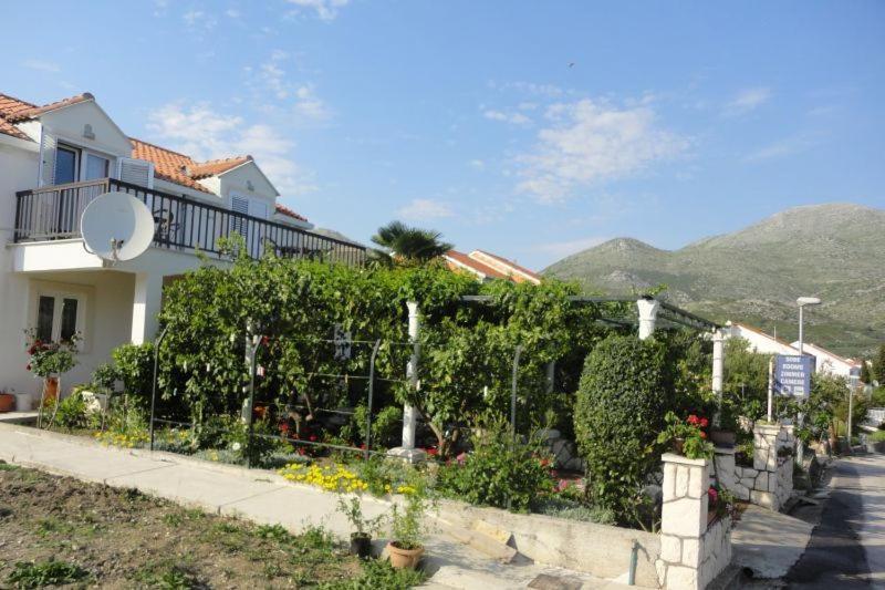 Guest House Pavkovic سلانو المظهر الخارجي الصورة