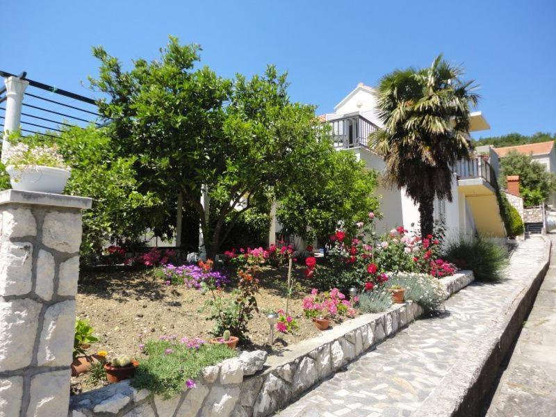 Guest House Pavkovic سلانو المظهر الخارجي الصورة