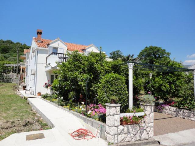 Guest House Pavkovic سلانو المظهر الخارجي الصورة